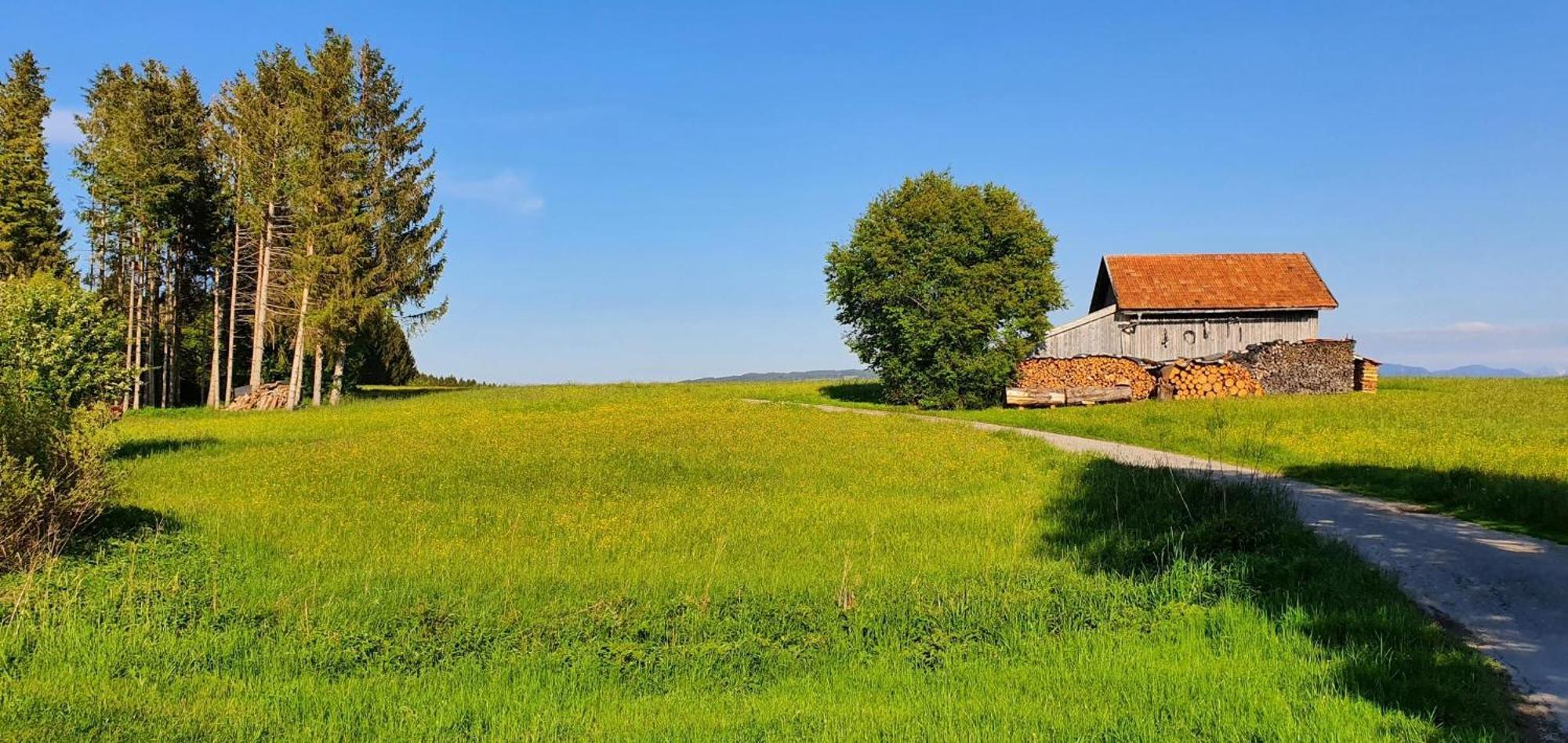 Lechbruck Am See Feriendorf Hochbergle Haus 140 Екстер'єр фото
